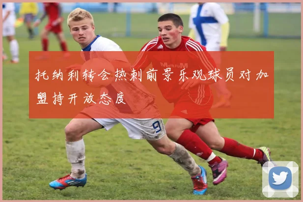 托纳利转会热刺前景乐观球员对加盟持开放态度
